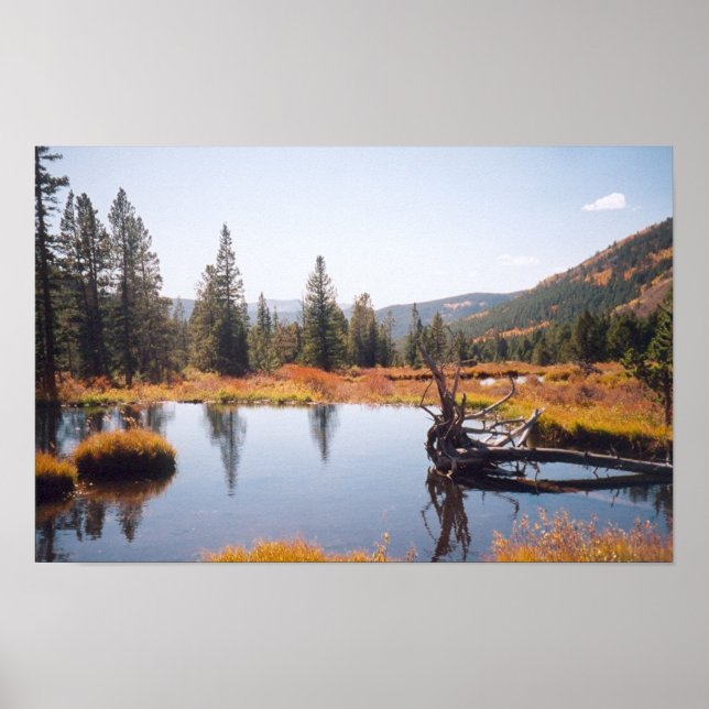 Pôster Reflexões (Frente)