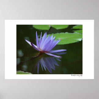 Poster Reflexões Azuis