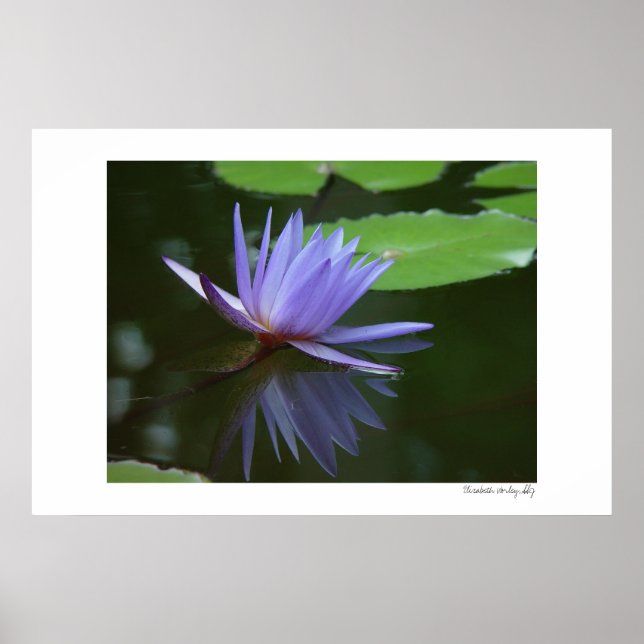 Poster Reflexões Azuis (Frente)