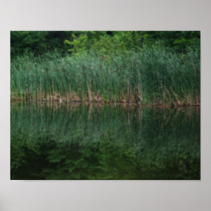 Poster Reflexões De Cattail No Efeito De Orton De Pond