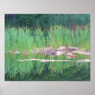 Pôster Reflexões de lições de cattails Pintura fotogr
