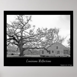 Poster Reflexões de Louisiana