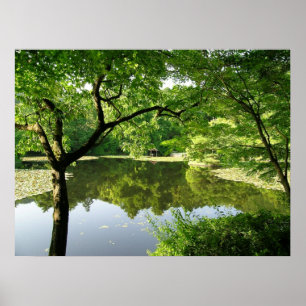 Poster Reflexões de Quioto no Japão