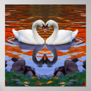 Poster Reflexões do lago autumn da queda das cisnes no