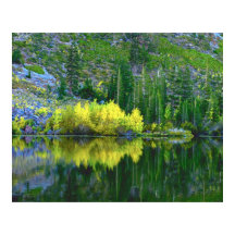 Reflexões do outono dos Gêmeos