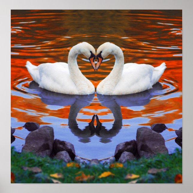 Poster Reflexões do outono no lago dos cisnes no amor (Frente)