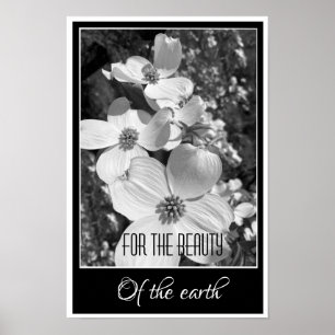 Poster Reflexões em Preto e Branco para o Cartaz da Belez