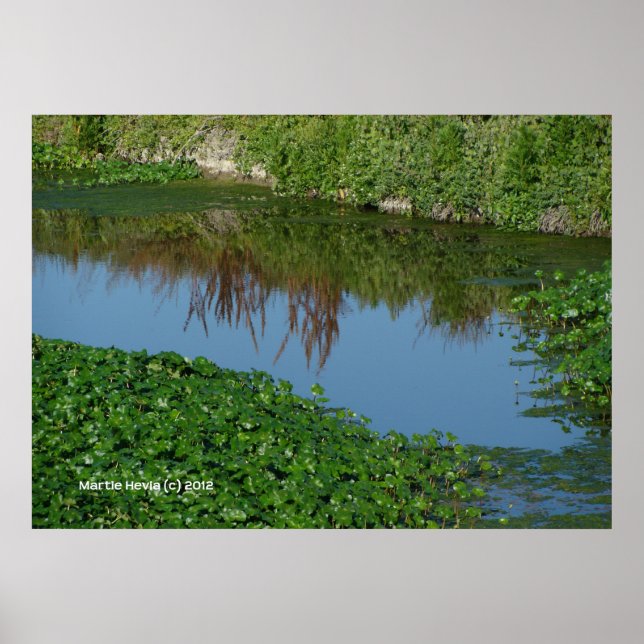 Poster Reflexões em Verde (Frente)