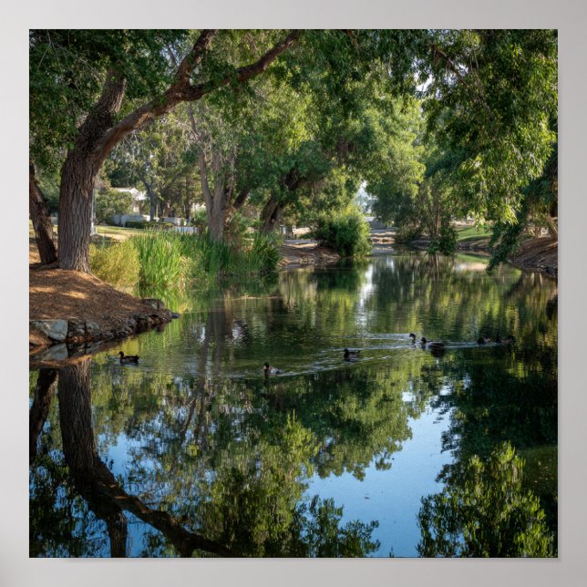 Poster Reflexões Pacíficas de Pond - Espelho da Natureza (Frente)