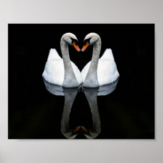 Pôster Reflexões sobre amor, forma cardíaca, Cisnes branc