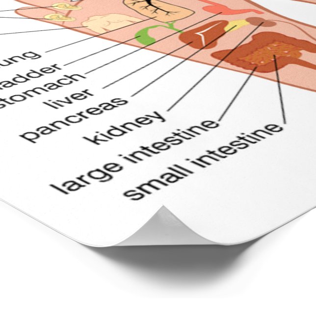 Poster Reflexologia de pé 12x10" (Borda)