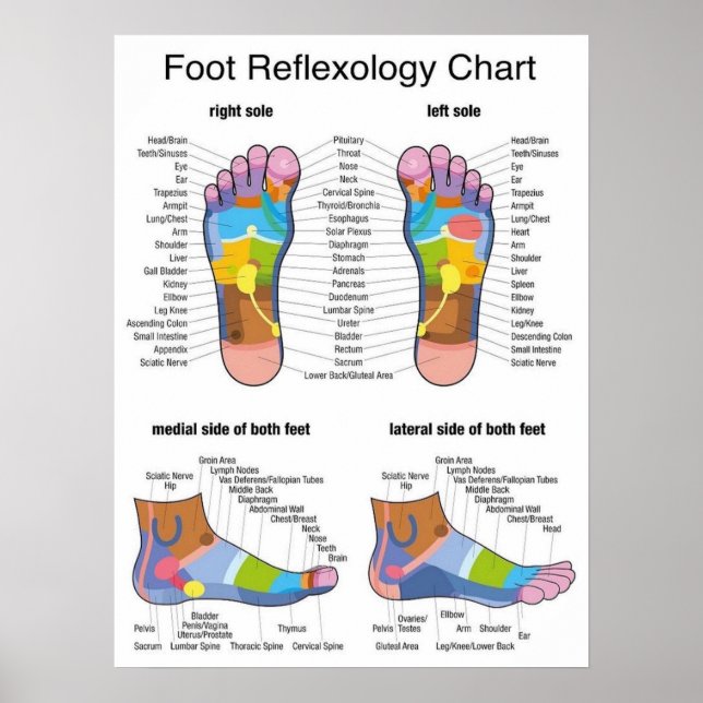 Poster Reflexologia de Pé - 18x24" (Frente)