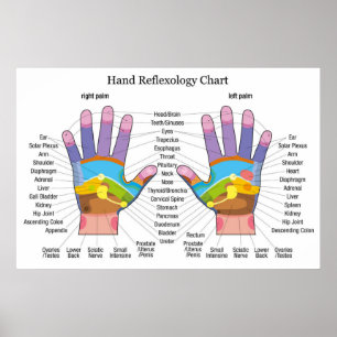 Poster Reflexology da mão
