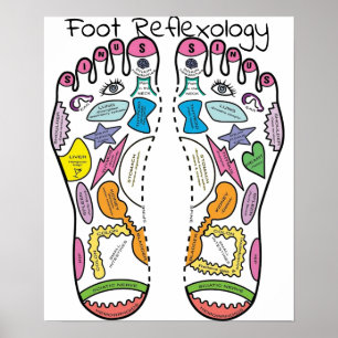 Poster Reflexology do pé
