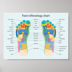 Pôster reflexology do pé