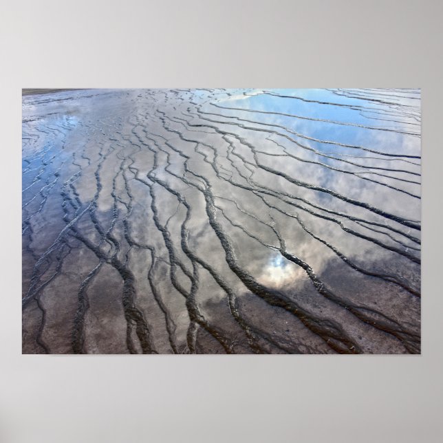 Poster Reflexos da Grand Prismatic Spring (Frente)