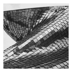 Pôster reflexos de dragão