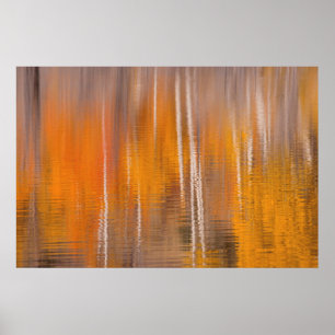 Poster Reflexos de Outono no Lago do Castor Winthrop, W