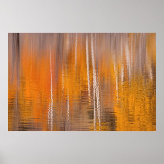 Poster Reflexos de Outono no Lago do Castor | Winthrop, W (Frente)