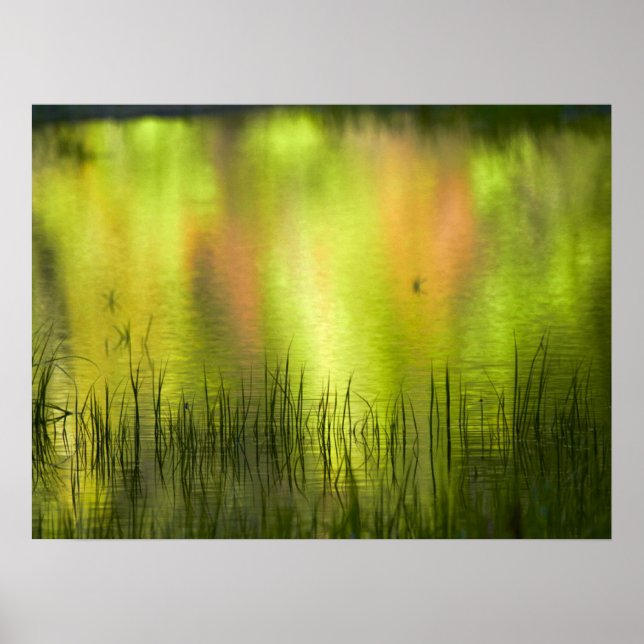 Poster Reflexos no Lago Espelho | Yosemite (Frente)