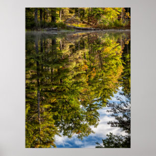 Poster Reflexos no Lago Red Eagle Montanhas Brancas