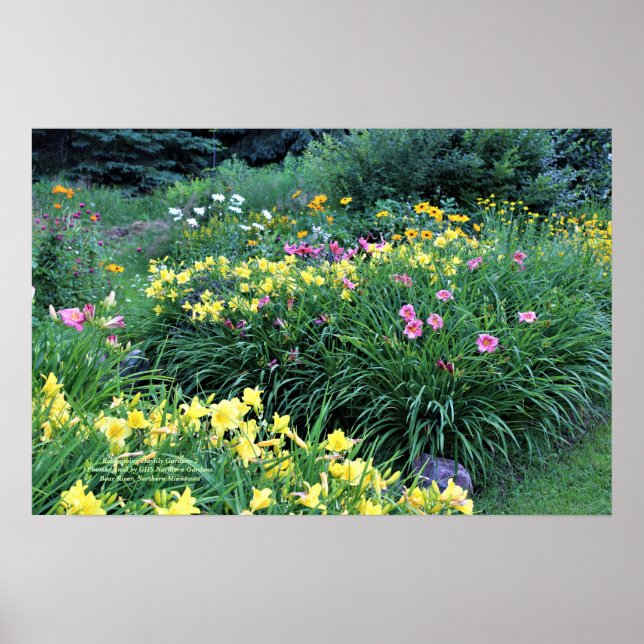 Poster Reflorescente Jardins Daylily (Frente)