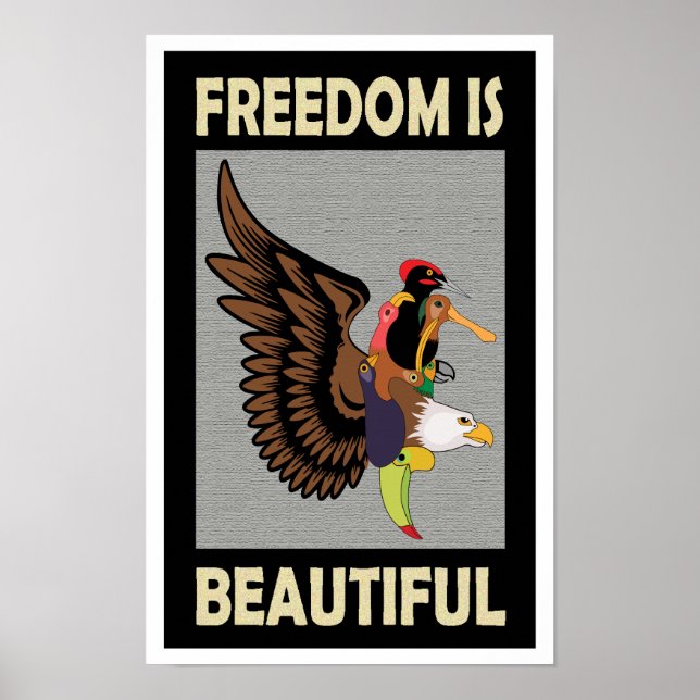 Poster Refrescando aves coloridas voando (Frente)