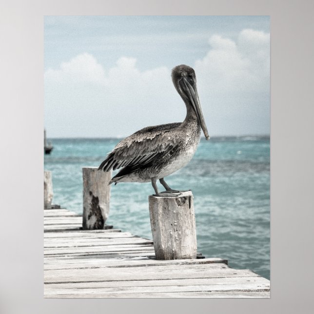 Poster REFRIGERAÇÃO (design pelicano) ~ (Frente)