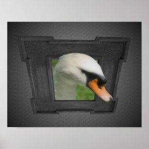 Pôster Regal Swan Fora Da Natureza Da Moldura