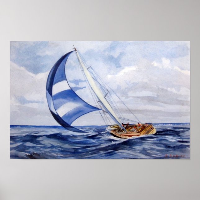 Pôster Regata/Regatta (Frente)