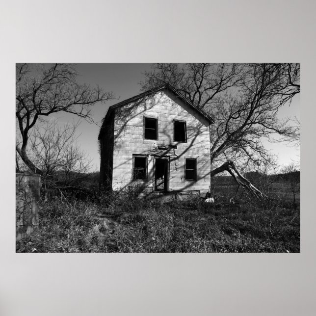 Poster Regeneração (Frente)