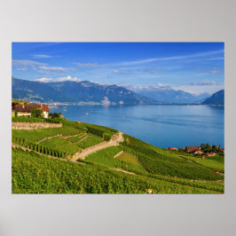 Pôster Região de Lavaux, Vaud, Suiça
