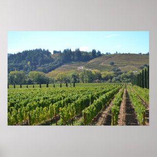 Poster Região vinícola do vale de Napa Sonoma