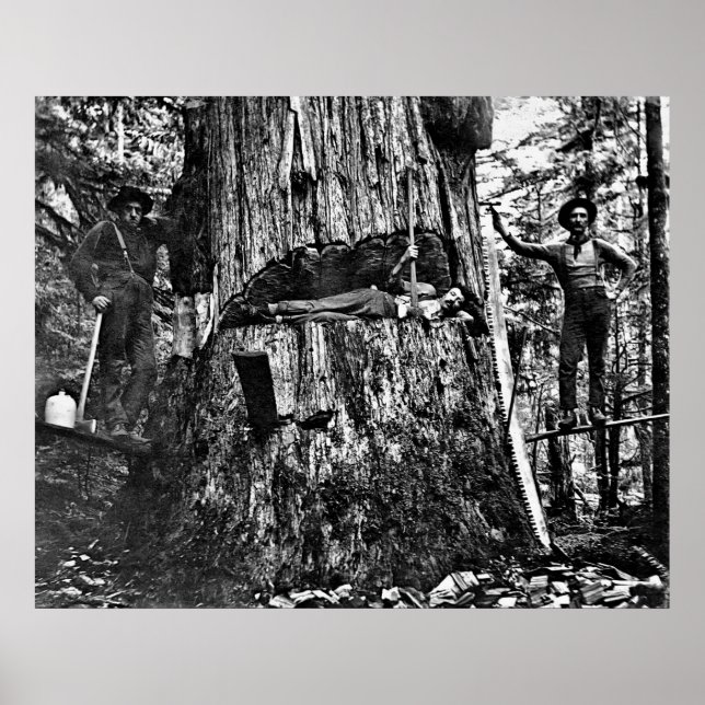 Poster REGISTRANDO CANADÁ c. 1890 (Frente)