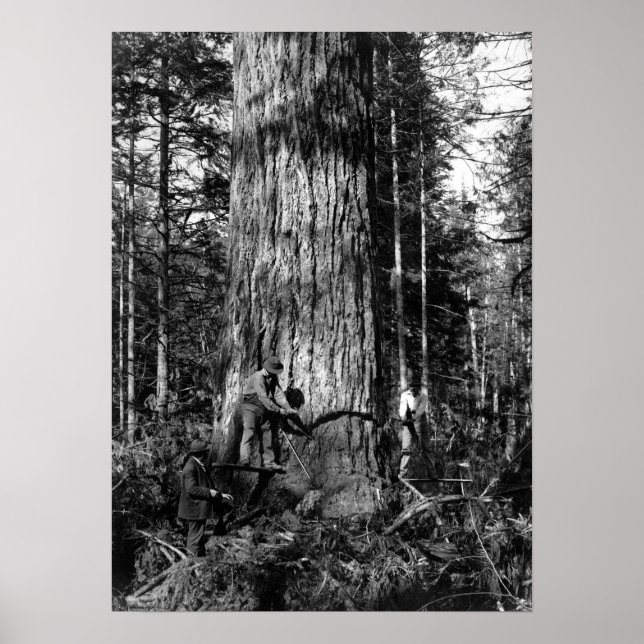 POSTER REGISTROS DO CANADÁ PARK PARK 1910 (Frente)