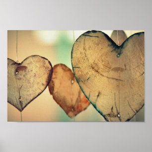Poster Registros do coração do amor