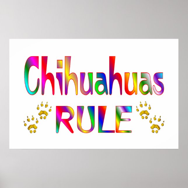 Poster Regra Chihuahuas (Frente)