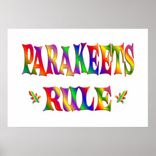 POSTER REGRA DOS PARAKEETS