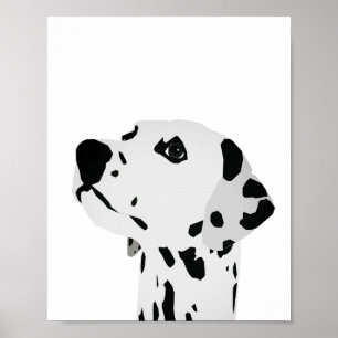 Poster Regra dos Pontos Dalmáticos