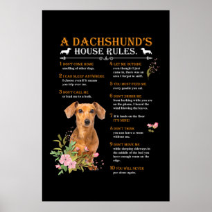 Poster Regras da Casa de Dachshund