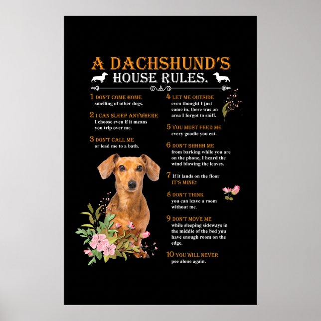 Poster Regras da Casa de Dachshund (Frente)