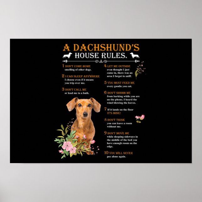 Poster Regras da Casa de Dachshund (Frente)