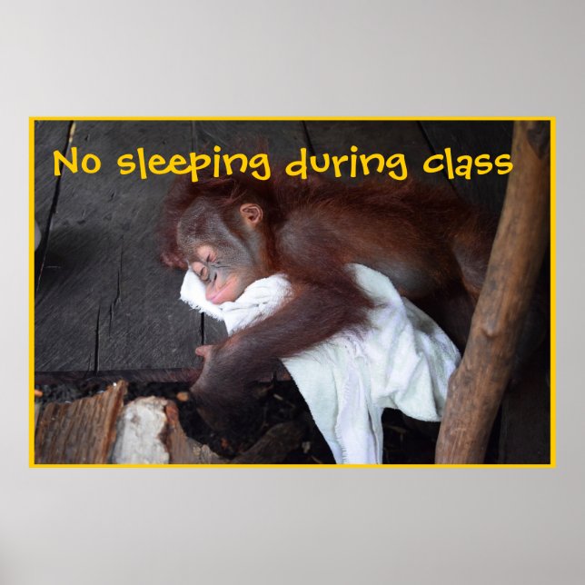 Pôster Regras da sala de aula de professores (Frente)