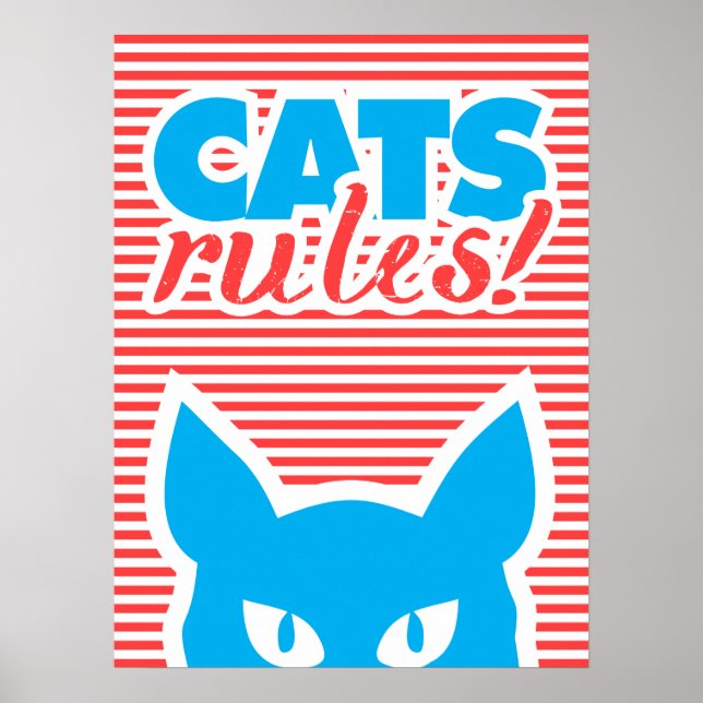 Poster Regras de gatos! (Frente)