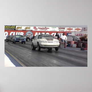 Pôster Regras de Mustang!