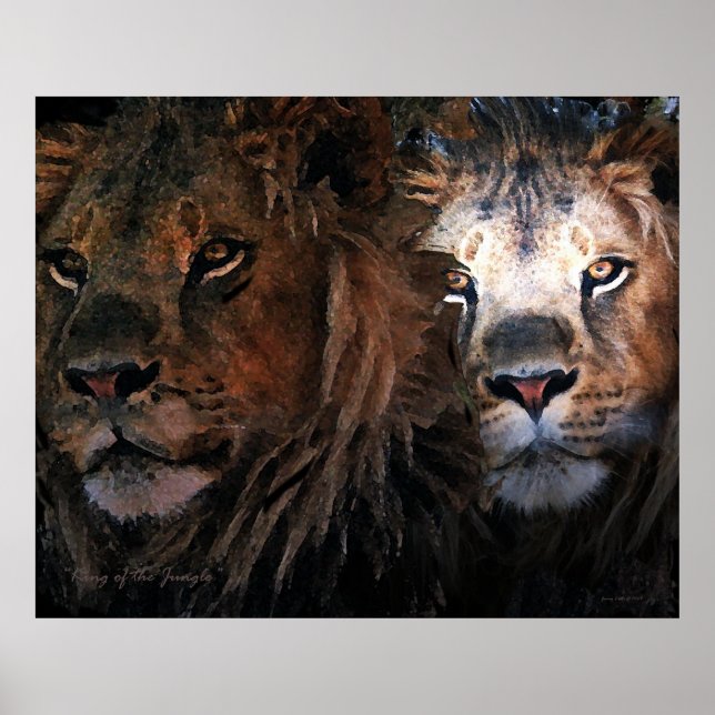 Poster Rei da Selva (Frente)