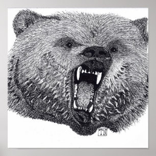 Pôster Rei do Wilds, cartaz do urso de urso