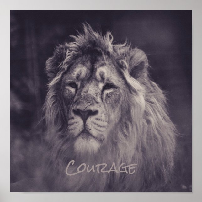 Poster Rei Leão da Coragem da Selva (Frente)