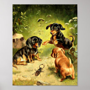 Poster Reichert - Dachshund Puppies no Play