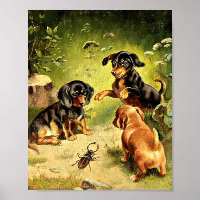 Poster Reichert - Dachshund Puppies no Play (Frente)
